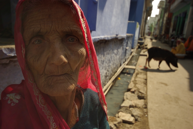 Indian woman and a pig