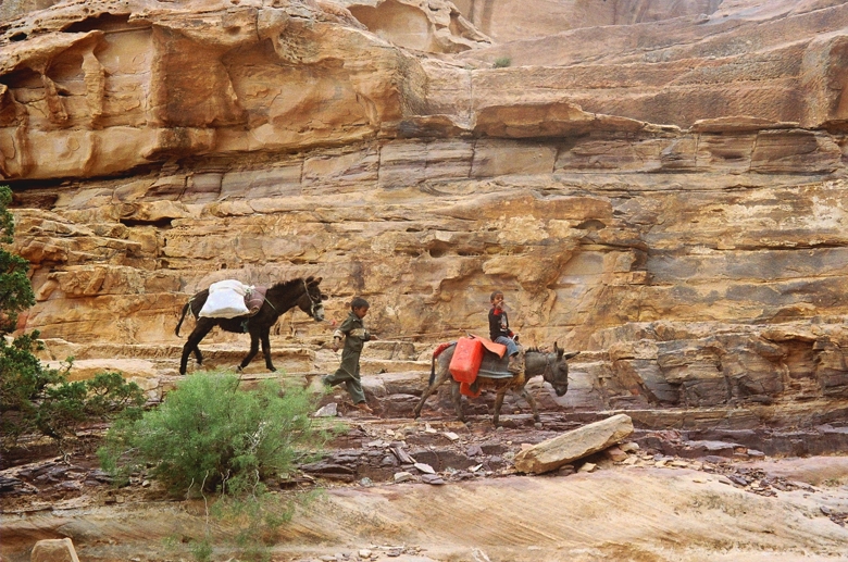 Children with donkey