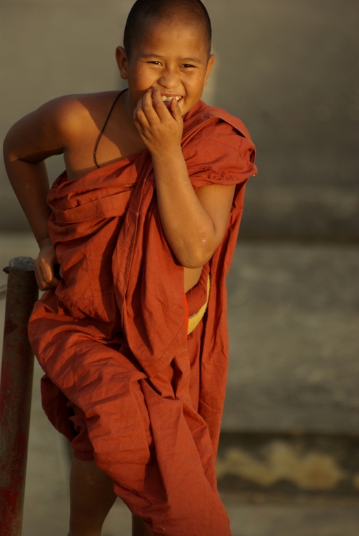 Thai child monk